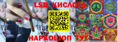 кокс Гай