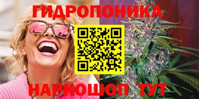 кокс Гай