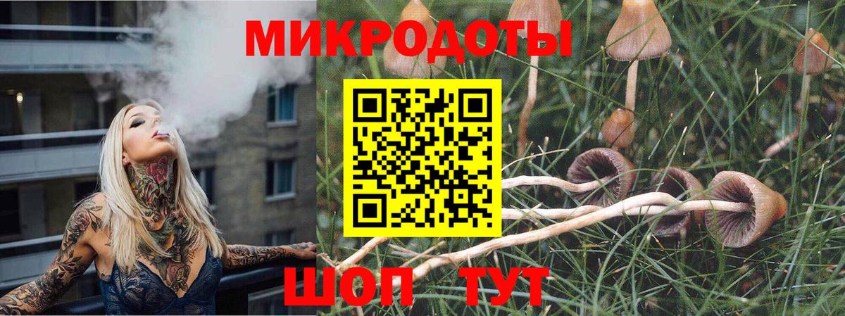 Псилоцибиновые грибы GOLDEN TEACHER Норильск