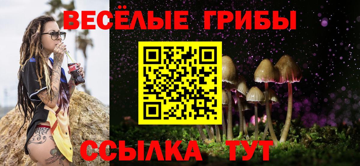Галлюциногенные грибы Cubensis  Вход с VPN  Норильск  Галлюциногенные грибы Psilocybine cubensis 